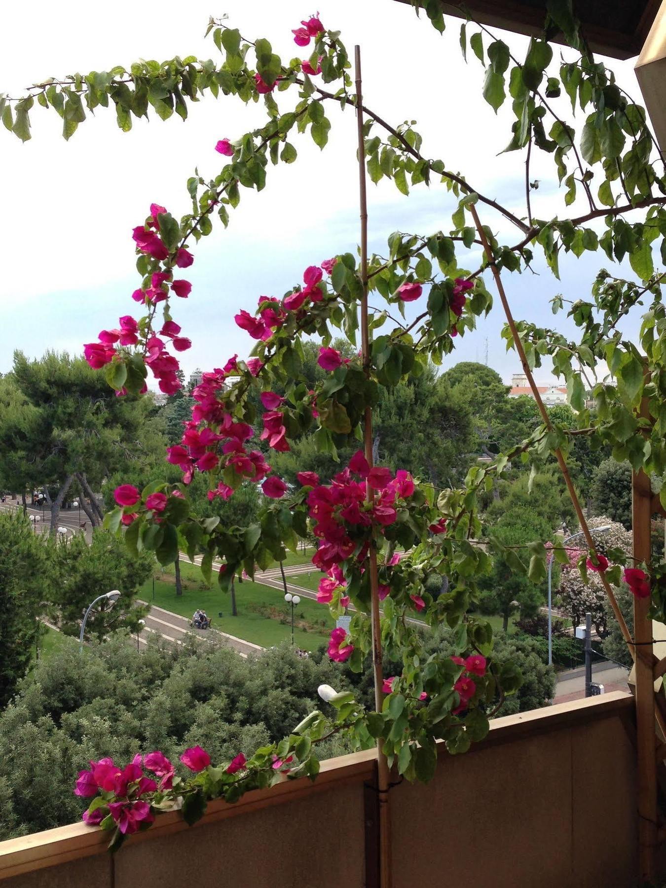 Larala' Bed and Breakfast Lecce Exteriör bild